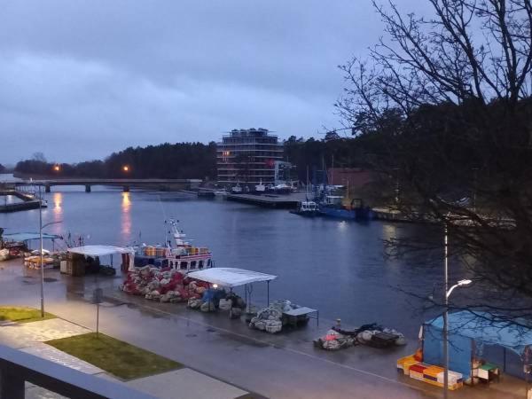 Apartament Z Widokiem Na Morze I Port Mrzeżyno Extérieur photo